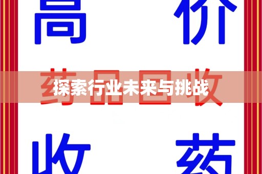 江门探索行业未来与挑战